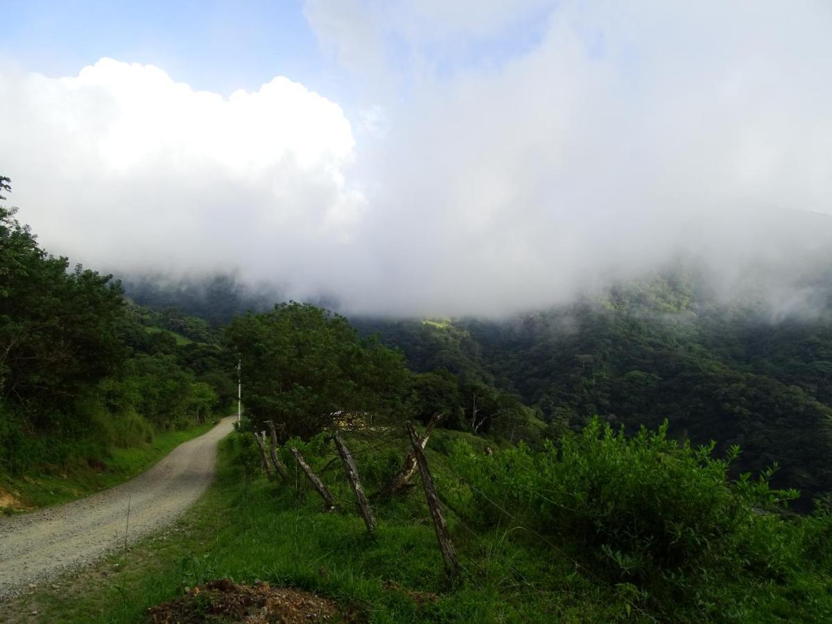 Miztli Lodge & Adventure Monteverde Εξωτερικό φωτογραφία