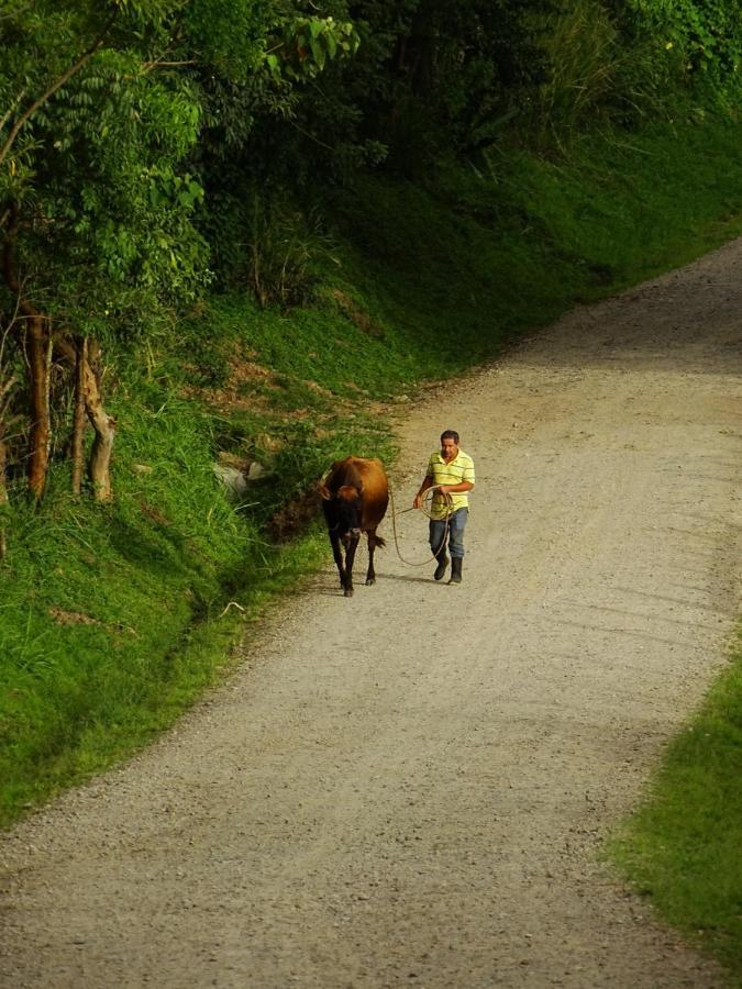 Miztli Lodge & Adventure Monteverde Εξωτερικό φωτογραφία