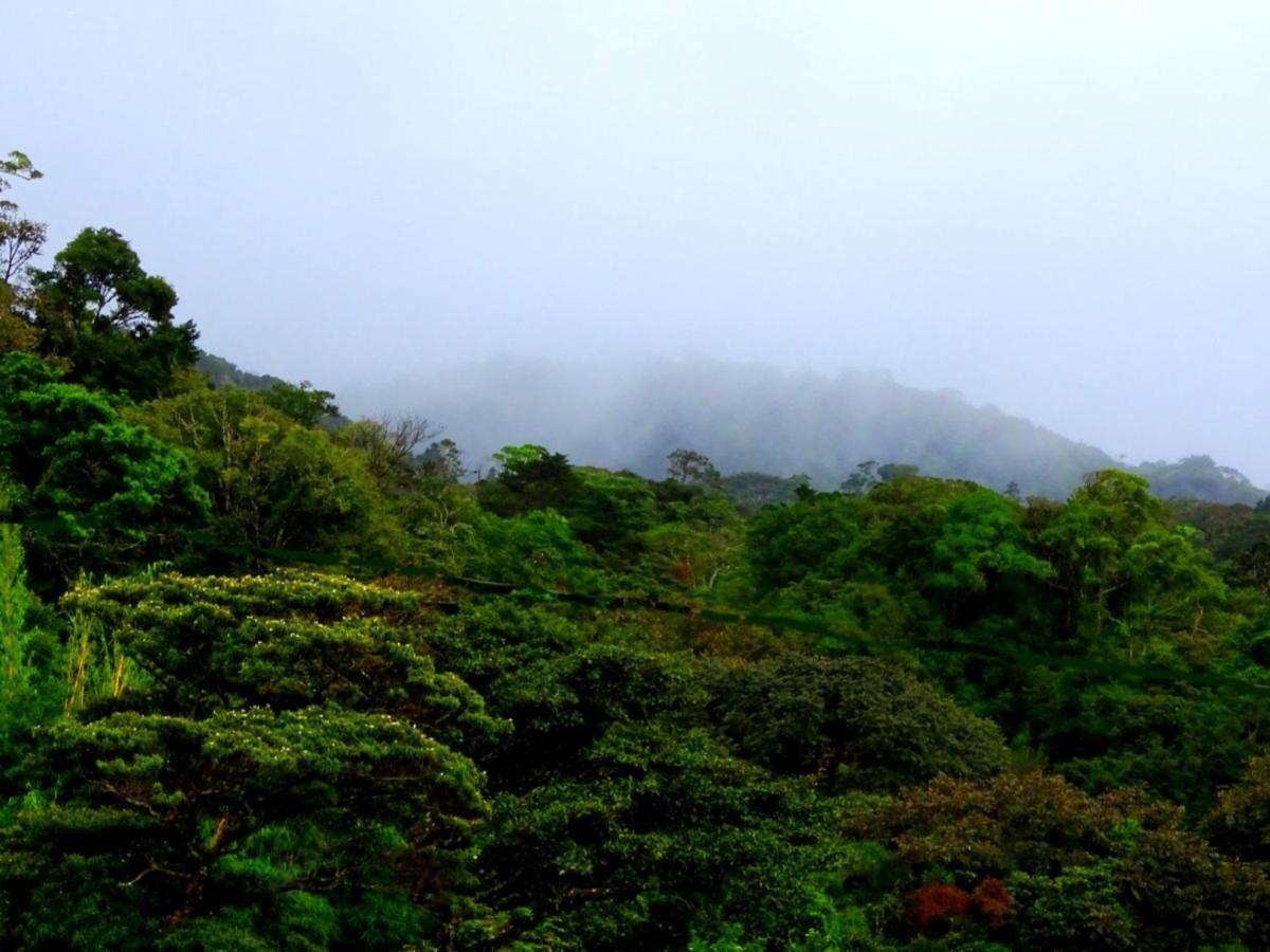 Miztli Lodge & Adventure Monteverde Εξωτερικό φωτογραφία
