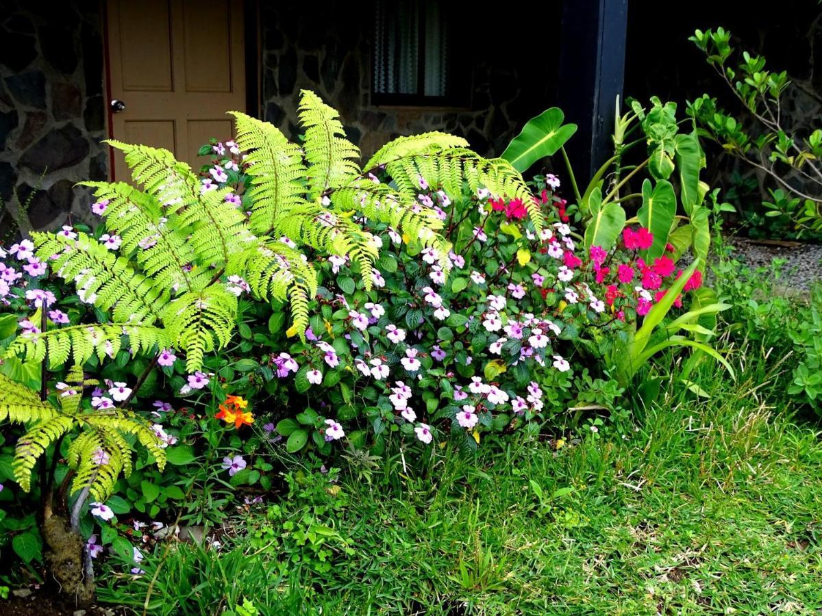 Miztli Lodge & Adventure Monteverde Εξωτερικό φωτογραφία